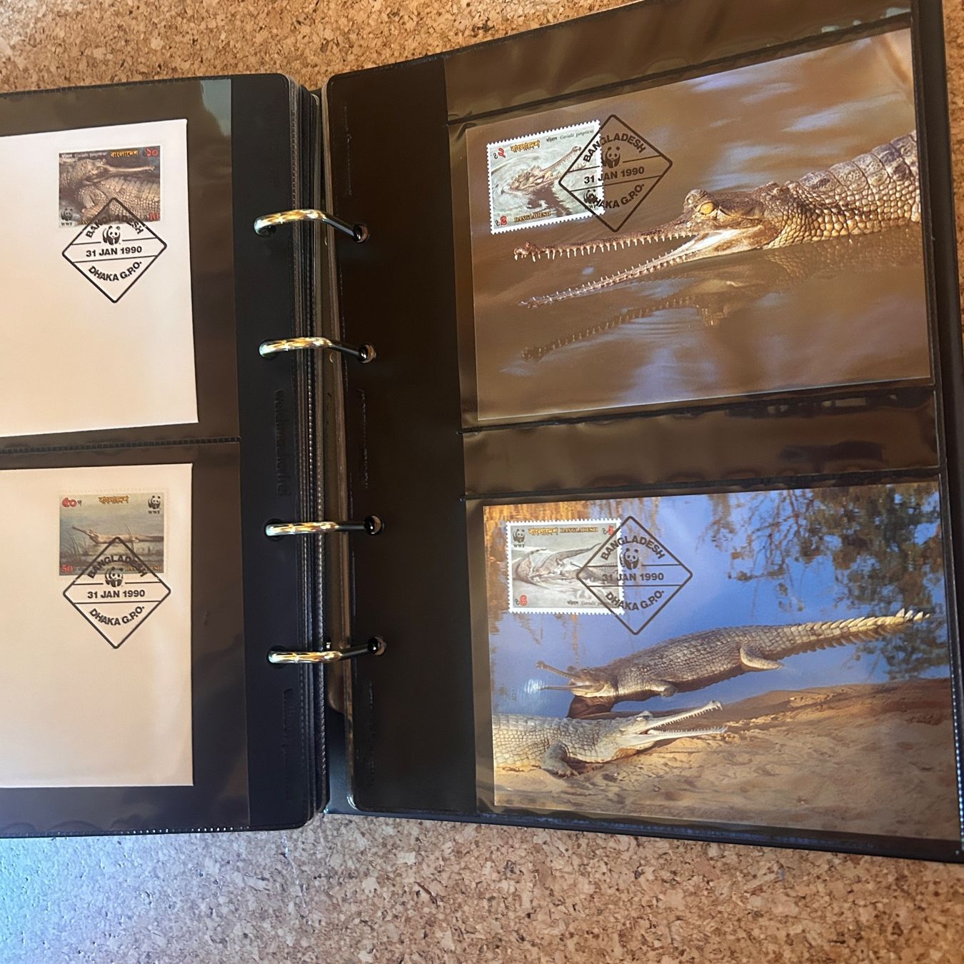 WWF Album: WWF Briefmarkenalbum TIERE – Usato da Laufen venduto da belleskulptur 7