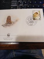 WWF Algerie, Premier jour émission, singe Magot rare!