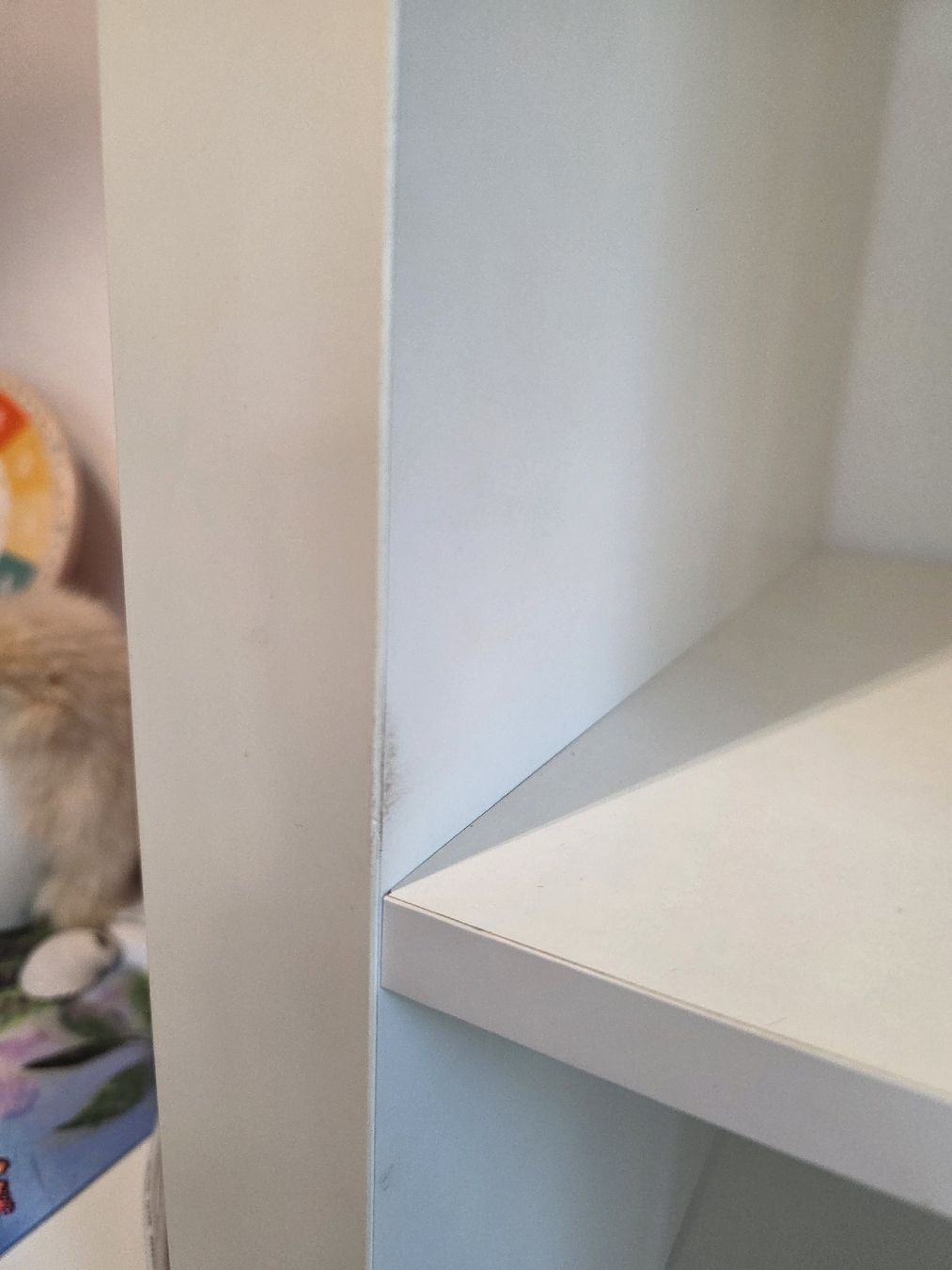 Scaffali: Ikea Expedit Regal weiss 16 Faecher gebraucht – Usato da Sachseln venduto da Joy032 1