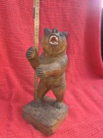 Schwarzwald Bär