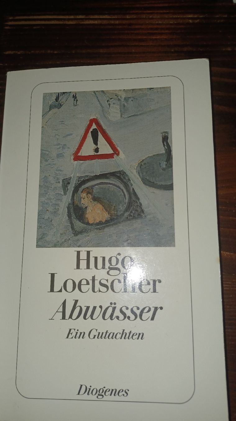 Libri: Hugo Loetscher "Abwaesser" - Ein Gutachten – Usato da Watt venduto da Wfifi