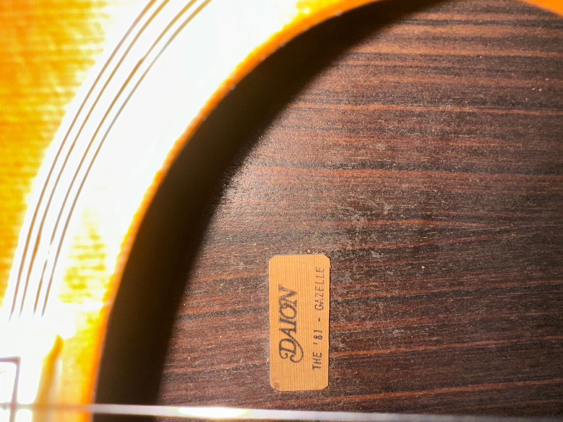 Strumenti musicali: Gitarre Daion "The 81 - Gazelle" – Usato da Hittnau venduto da ShiTRabBbit 5