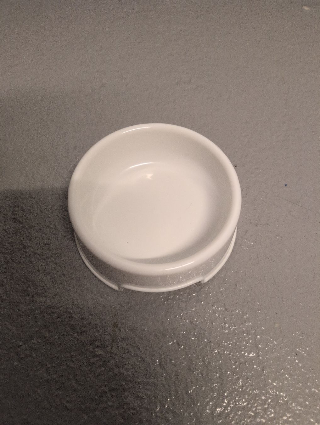 Ikea Ciotole: Katzenfressnapf – Usato da Zofingen venduto da Danmu1981