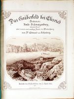 Das Gräberfeld bei Elisried (Brünnen BE)