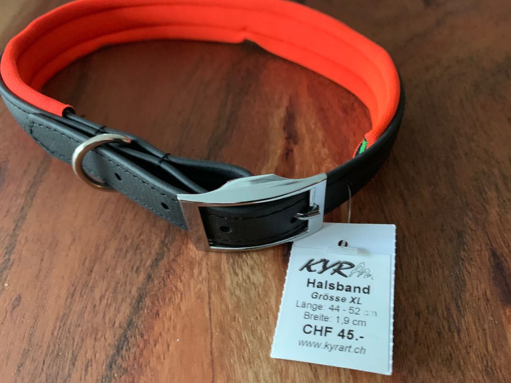 Hundehalsband Mit Neopren-Polsterung, Verstellbar – Starker D-Ring, In Design 'Walkies In The Wild', Größe M