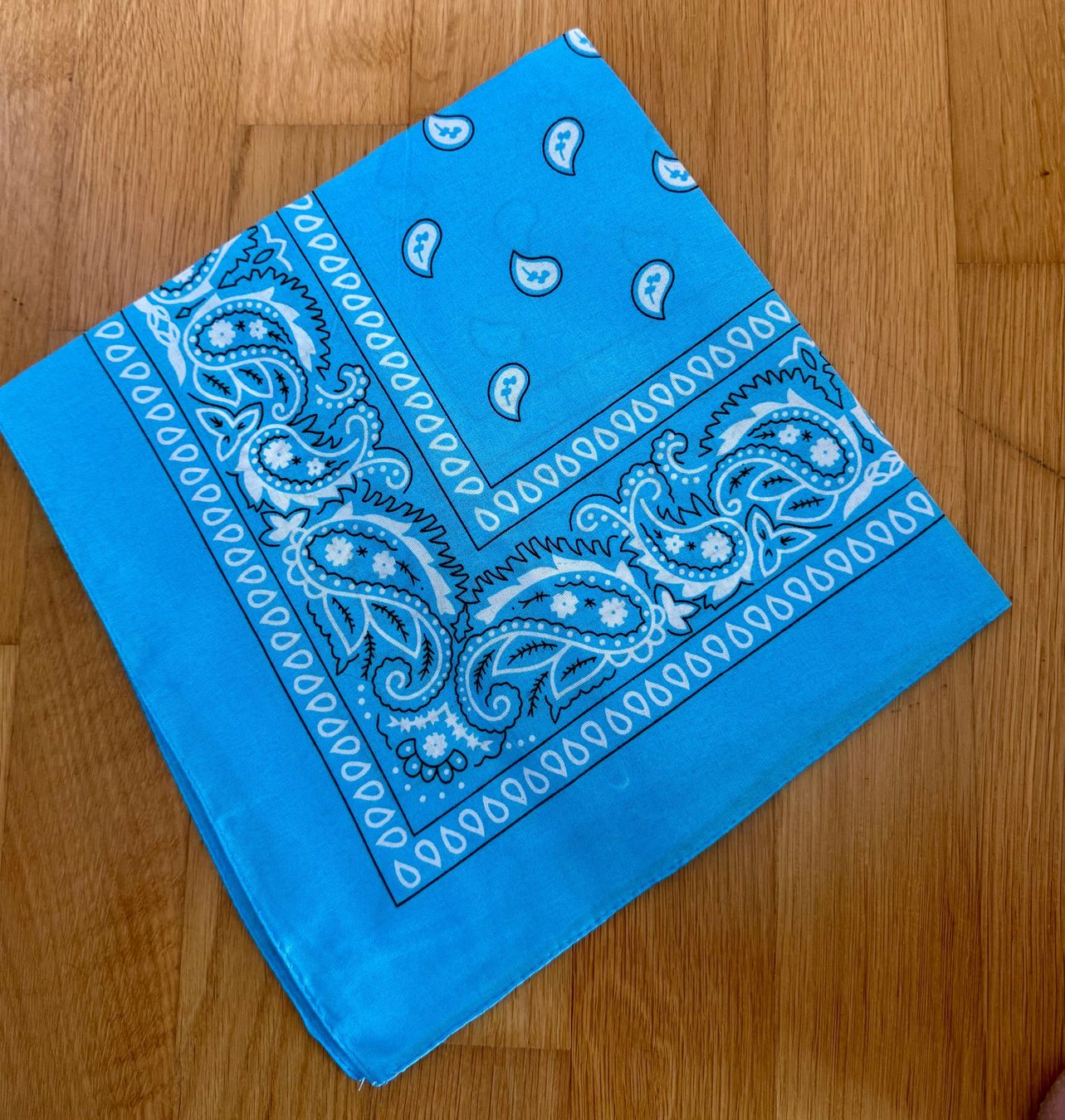 Foulard & Sciarpe: BANDANA MIT PAISLEY  PRINT, HELLBLAU NEU – Nuovo (secondo la descrizione) da Bad Ragaz venduto da Schtupsi
