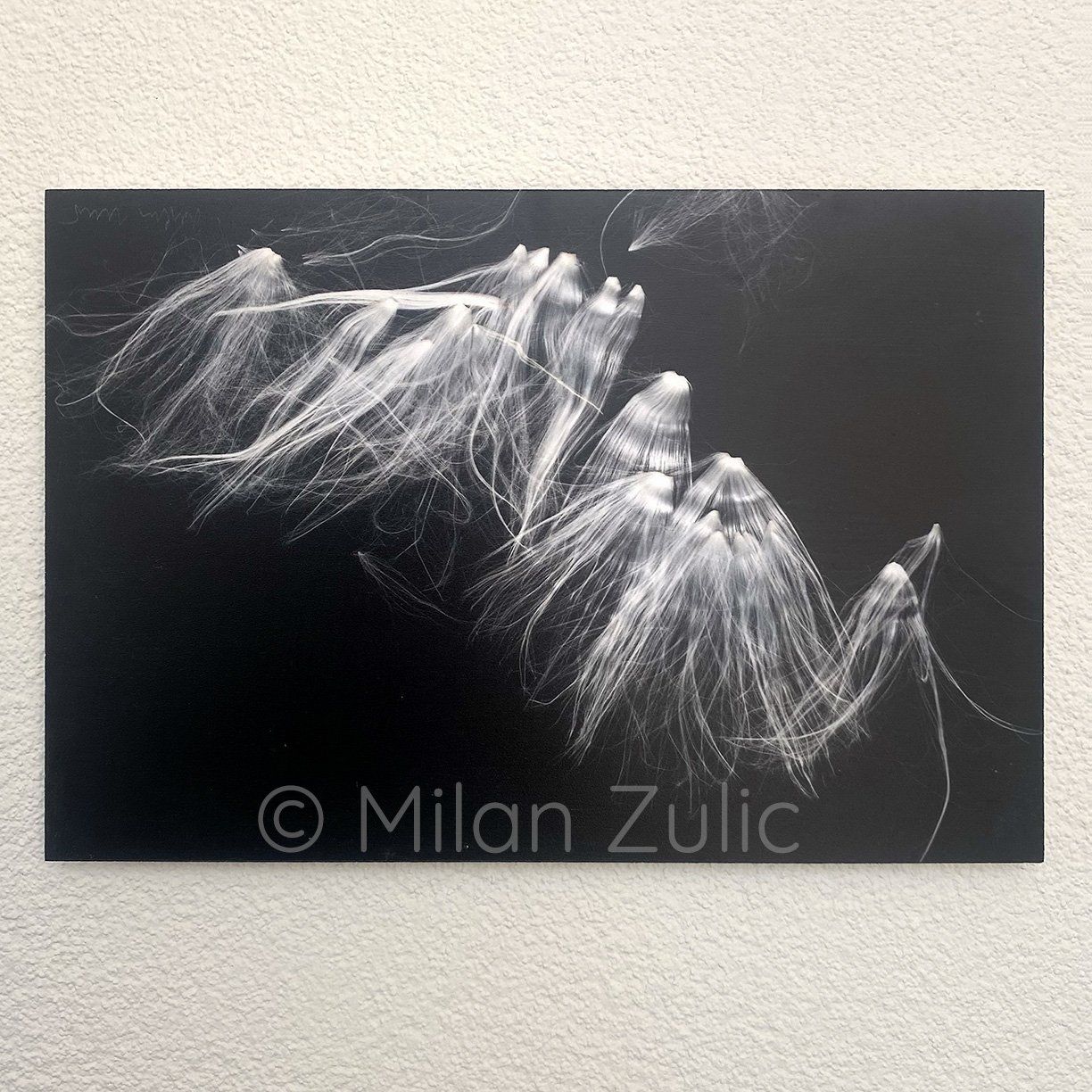 Foto & Immagini: Milan Zulic ~66 – Nuovo (secondo la descrizione) da Uetikon am See venduto da mil_7k2b 2