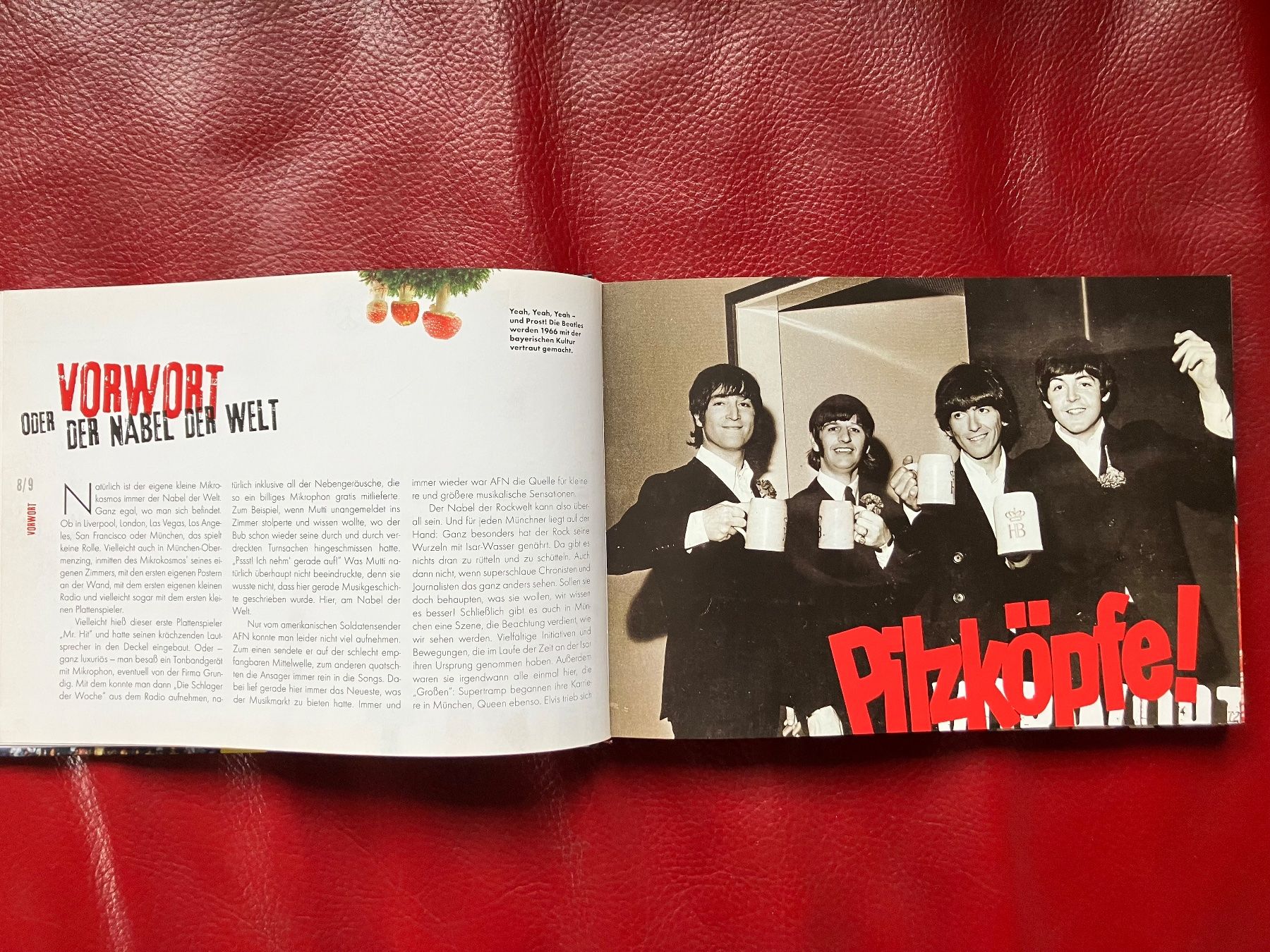 Libri: Buch "Münchner Rock Geschichten 1982" – Usato da Winterthur venduto da efant12 3