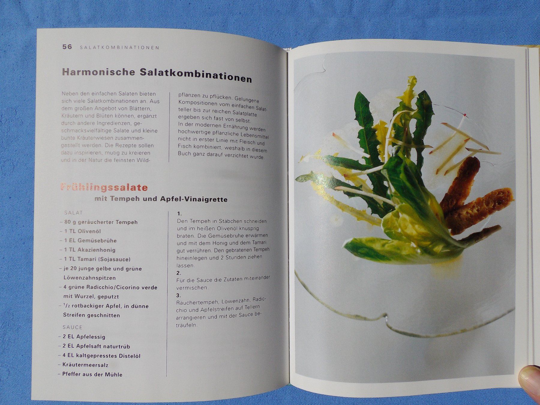 Bücher: Raffinierte Blattsalate – Gebraucht aus Uster von urs_75by 4