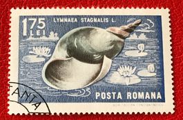 Briefmarke aus Rumänien gestempelt   ﻿ Siehe Original Fotos 