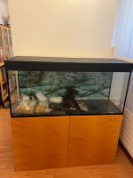 200 l Aquarium mit Untermöbel vom Schreiner