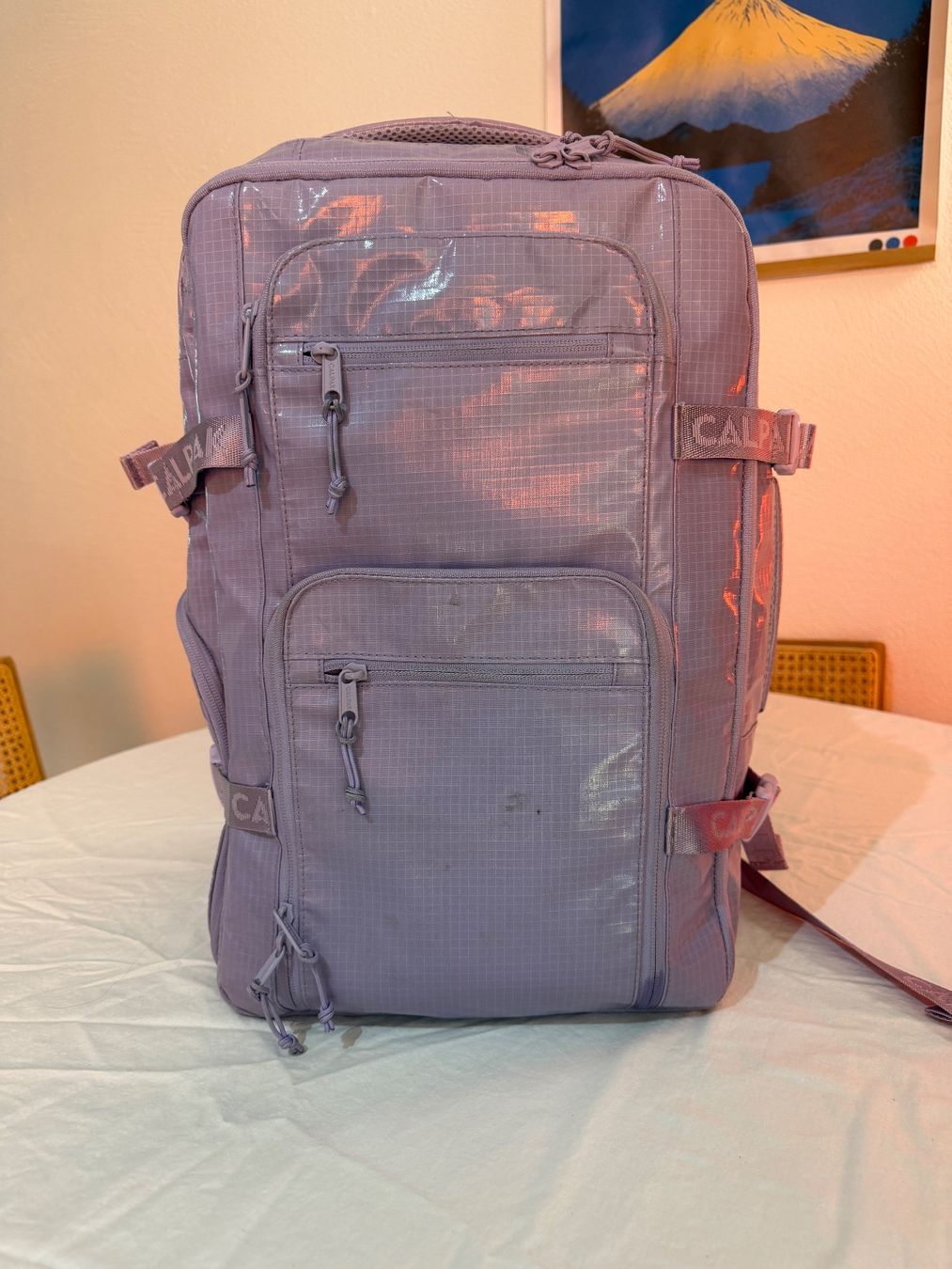 Zaini: Calpak Travel backpack Terra 26l – Usato da Zürich venduto da vik_nzx9