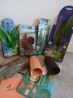 Aquarium Decor