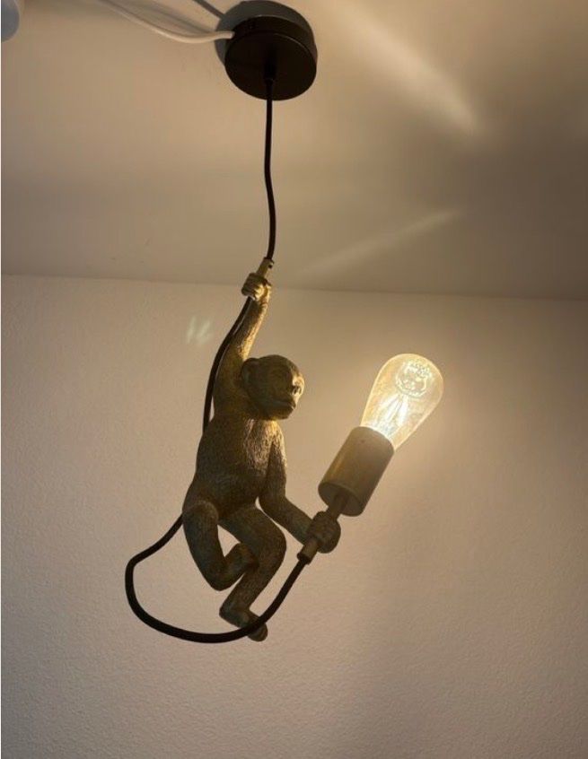 Lampadari & plafoniere: Affe Deckenlampe mit Edison Glühbirne -  Monkey Light – Usato da Zürich venduto da maral787