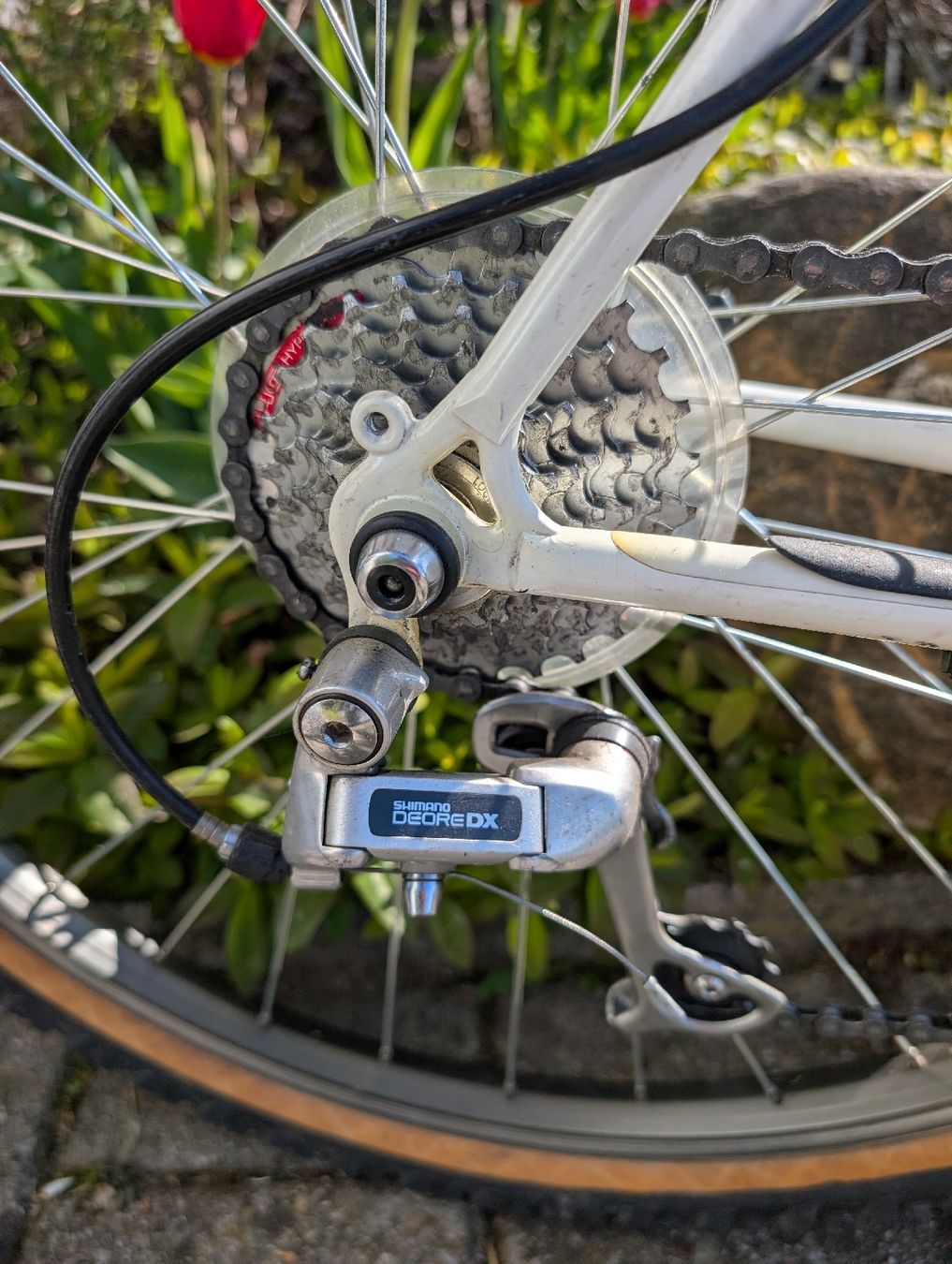 Biciclette: Alpinestars Cro-Mega DX, Mountainbike – Usato da Cham venduto da Onneb1 2