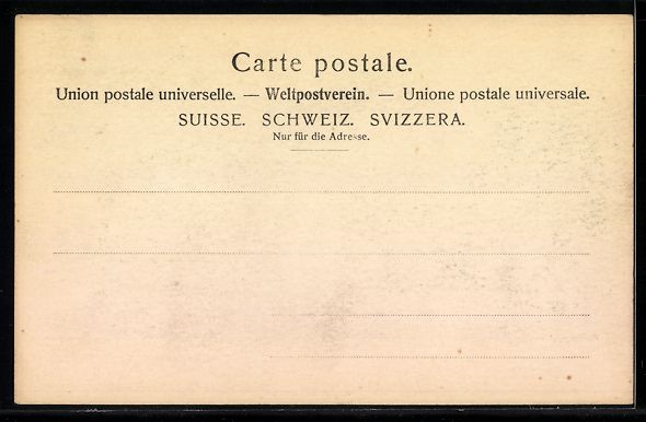 Cartoline postali: AK Thusis, Gruss aus Thusis – Usato da Berlin venduto da bartko-reher 1