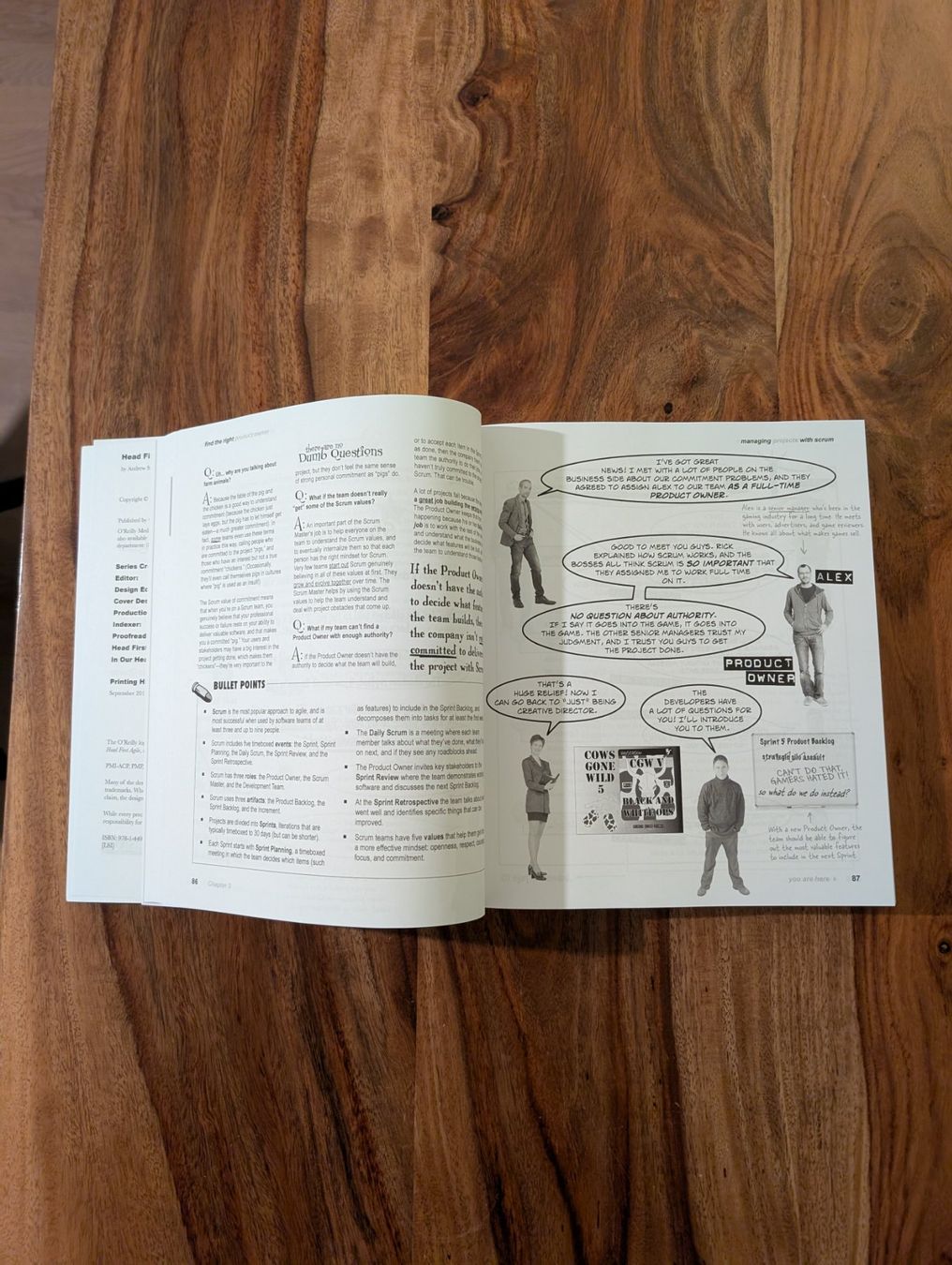 Libri: Head First Agile – Brain-Friendly Guide. – Usato da Otelfingen venduto da ALuechinger 3