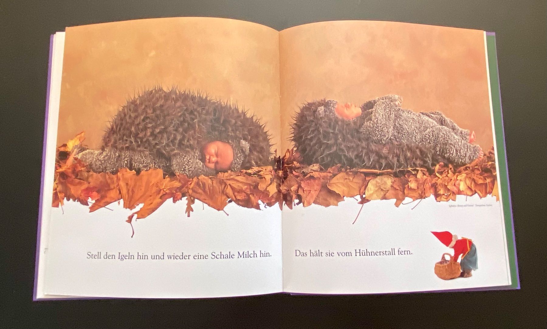 Libri: DRUNTEN IM GARTEN / ANNE GEDDES – Usato da Nussbaumen AG venduto da schuba2000 4