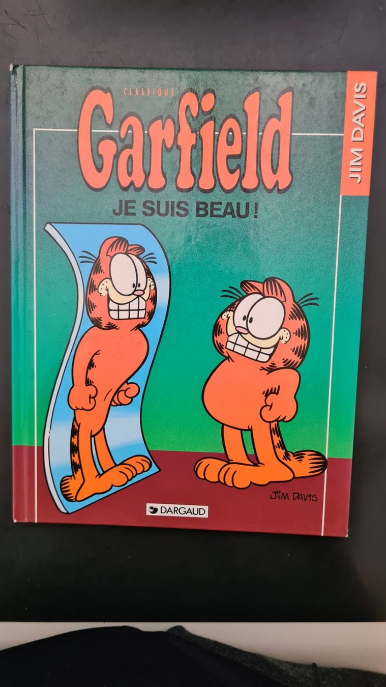 BD: 2 BD Garfield – Neuf (Voir description) à Châtonnaye par Jaydee6