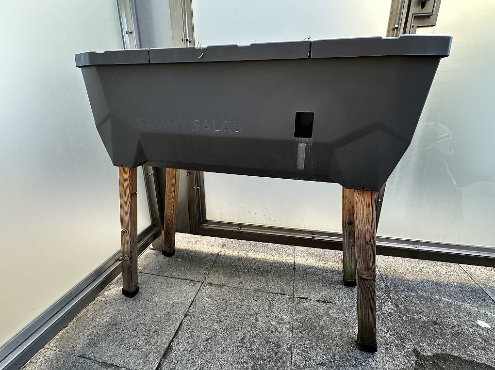 Vasi per fiori: Hochbeet zu verschenken, Gusta Garden, Sammy Salad – Usato da Zug venduto da dhe_8lxn 1