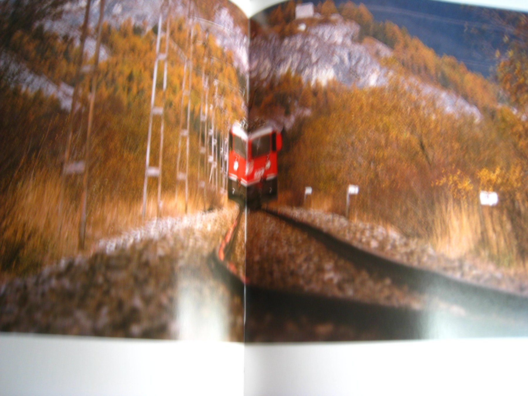 Libri: Von den Gletschern zu den Palmen,   1988 – Usato da Buchs ZH venduto da swiss-train 6