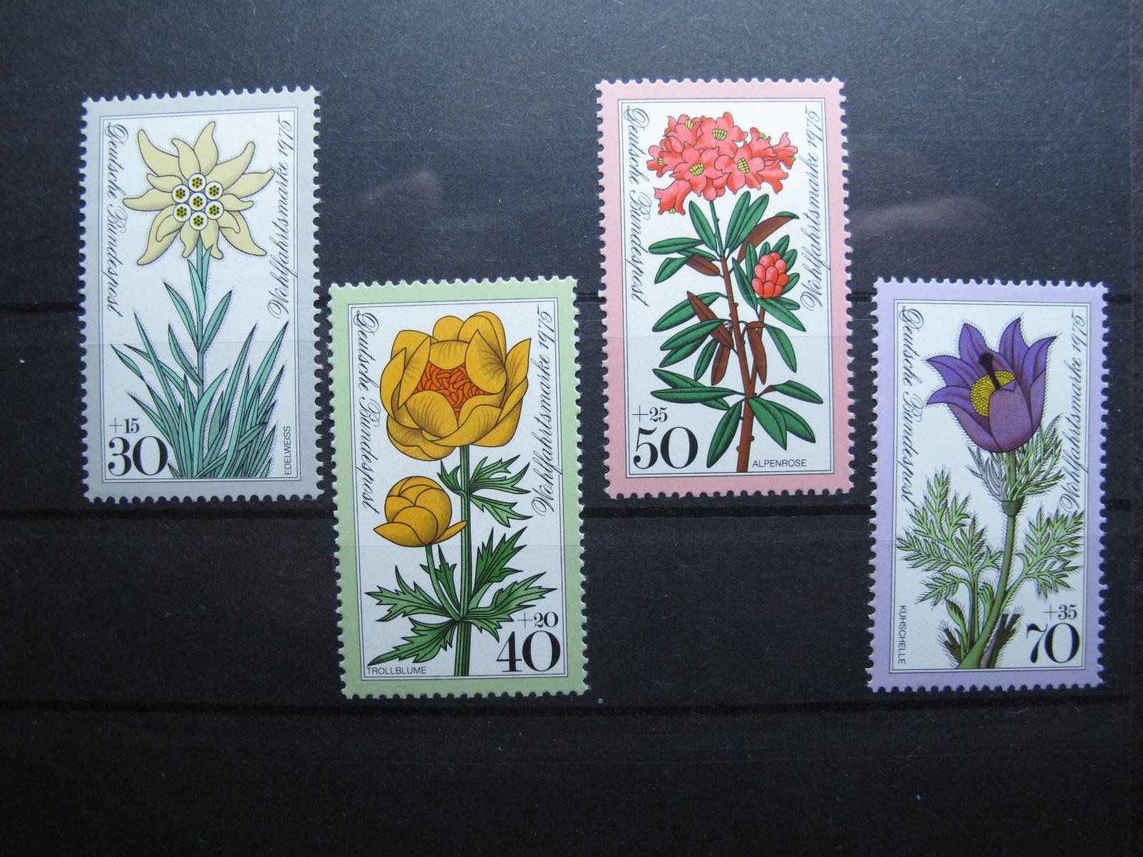 Tutti i francobolli: BRD 1975 Alpenblumen  ** – Usato da Wil SG venduto da fva01