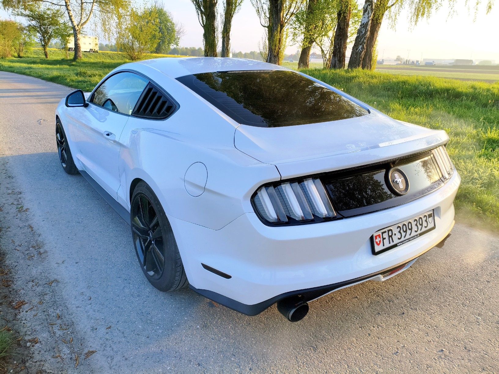 Ford Automobili: Ford Mustang Fastback – Usato da Dompierre FR venduto da F.Blanco 5
