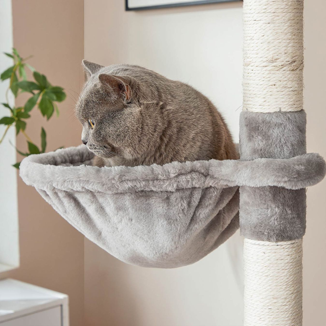 Tiragraffi: Kratzbaum XL Hoch Katzenbaum 206cm ARES – Nuovo (secondo la descrizione) da Lachen SZ venduto da MAMORU-MOEBEL 4