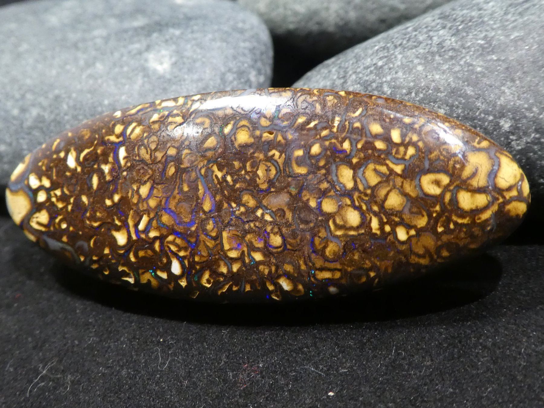 Pietre preziose: Yowah Opal Handschmeichler – Nuovo e nell'imballaggio originale da Niederbüren venduto da Raphael014 1