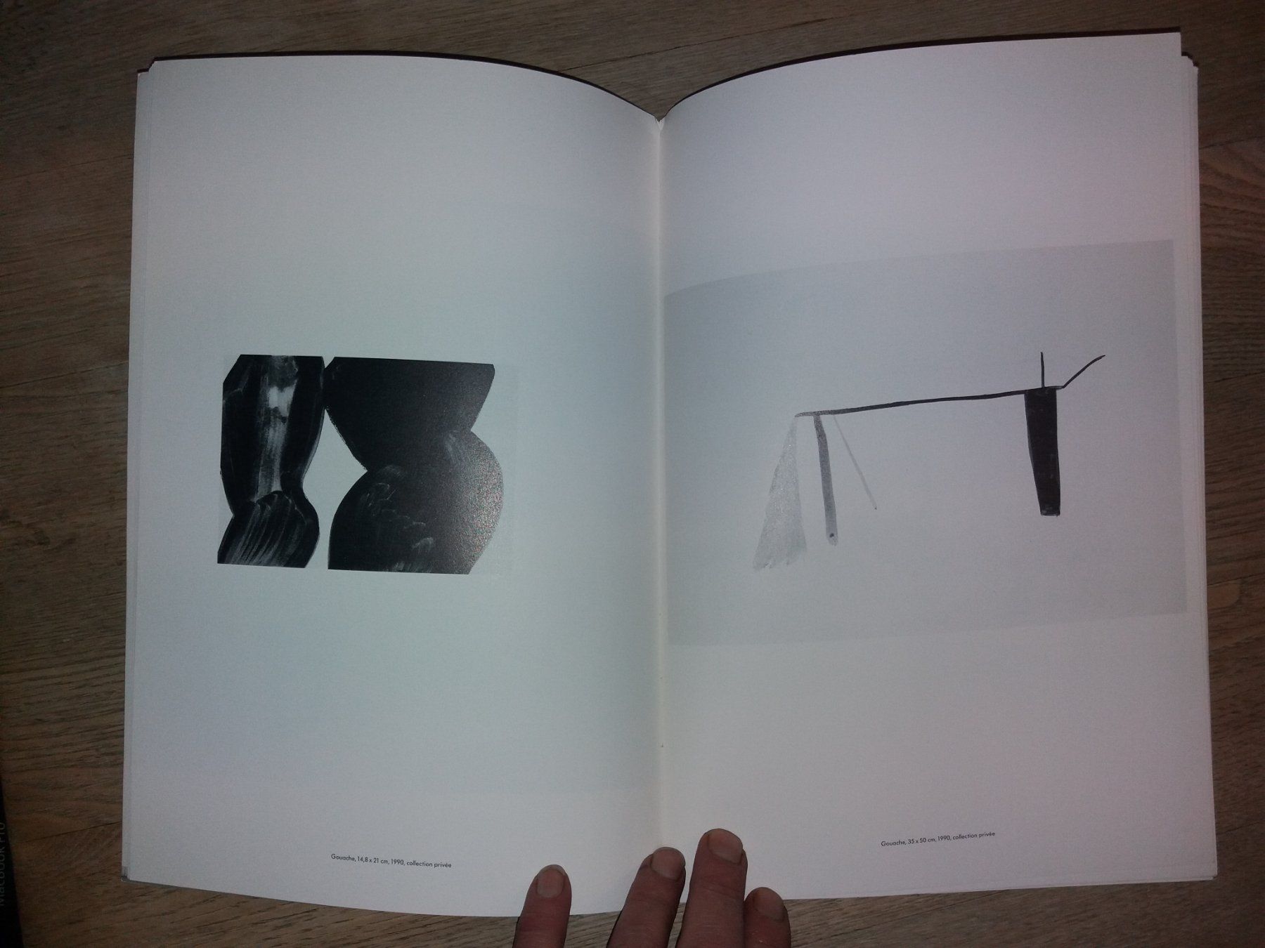 Libri: SILVIA Bächli Kunstklassik selten – Usato da Welschenrohr venduto da Regool 4