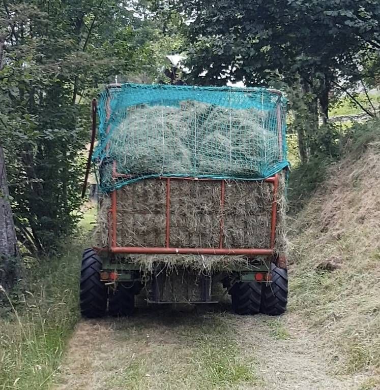 Trattori: Vendo 2 Schilter Lt1  – Usato da Biasca venduto da Capon68 1