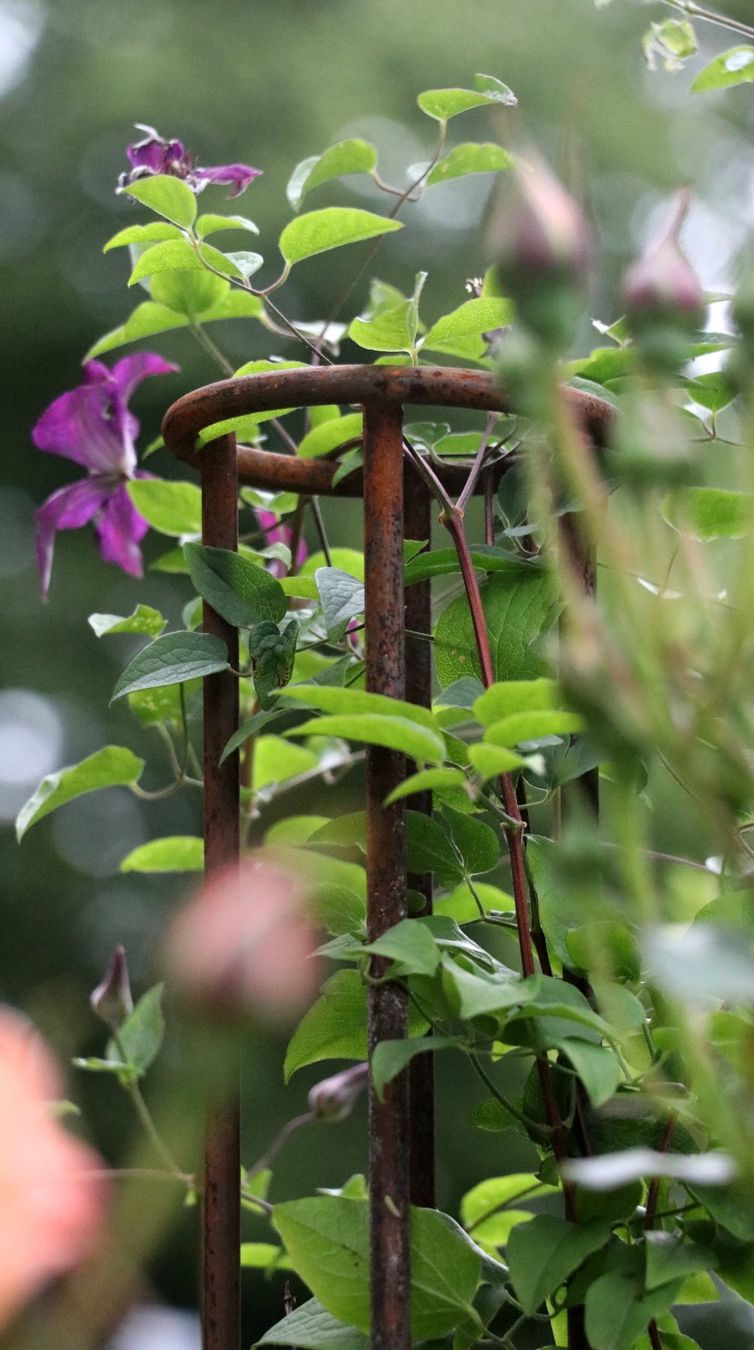 Altre Decorazioni per giardino: Klettersäule, Rankhilfe, Staudenstütze – Nuovo (secondo la descrizione) da Riedt b. Erlen venduto da BisD 2