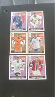 Panini Extra Sticker  6 Stk