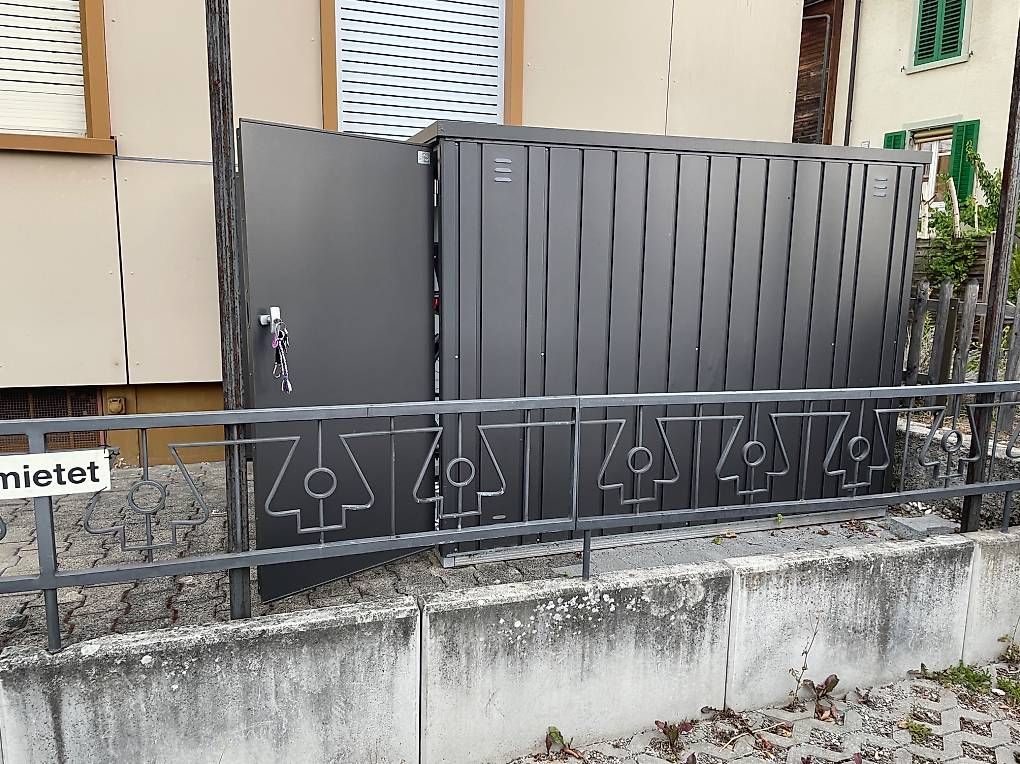 Biohort Casette da giardino & serre: Biohort Mini Garage L – Usato da Münchenstein venduto da ali_jtq8 2