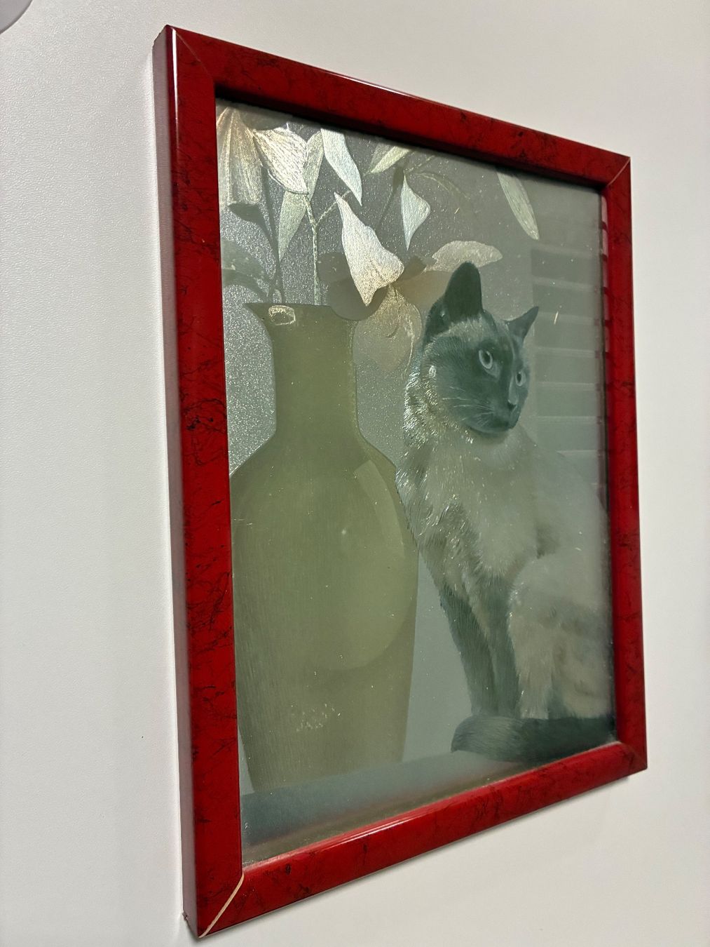 Foto & Immagini: Katzenbild gerahmt / Metallic – Usato da Horw venduto da adler65 4