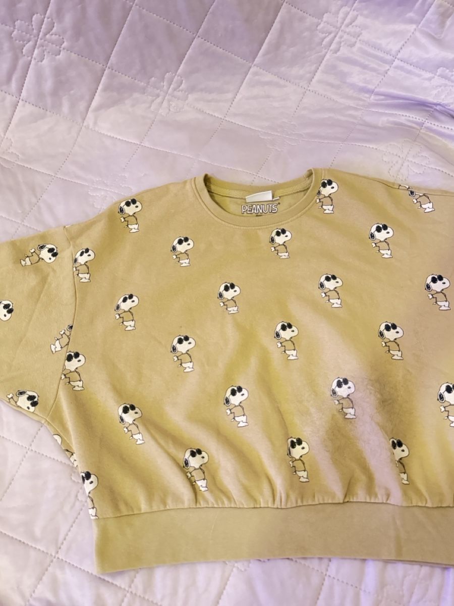 Pulls & Sweat-shirts: Peanuts Pullover beige mit Snoopy-Motiv neuwertig – Neuf (Voir description) à Horgen par emi_9dyh 1
