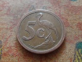AFRIQUE DU SUD   5  Cents   1991  (P)