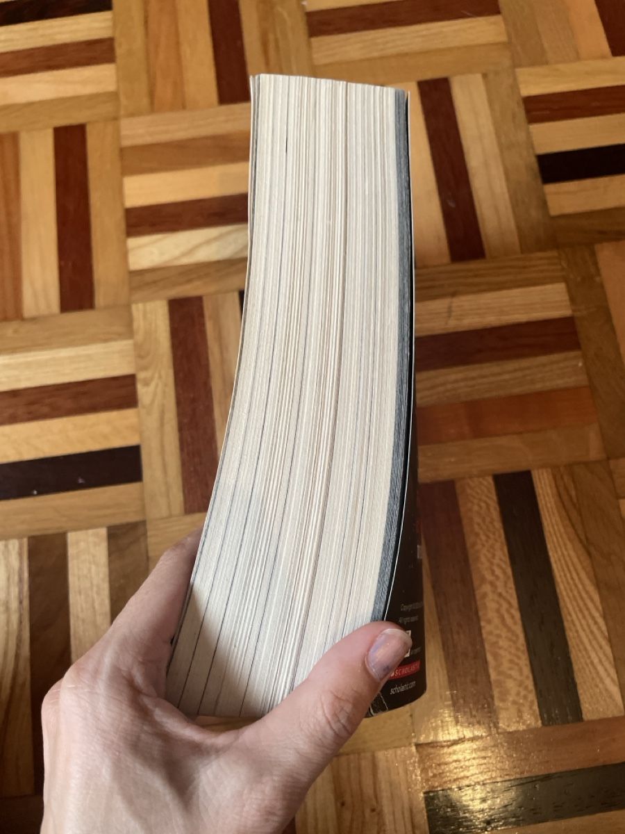 Bücher: FNAF book – Gebraucht aus Taverne von shalidar 2