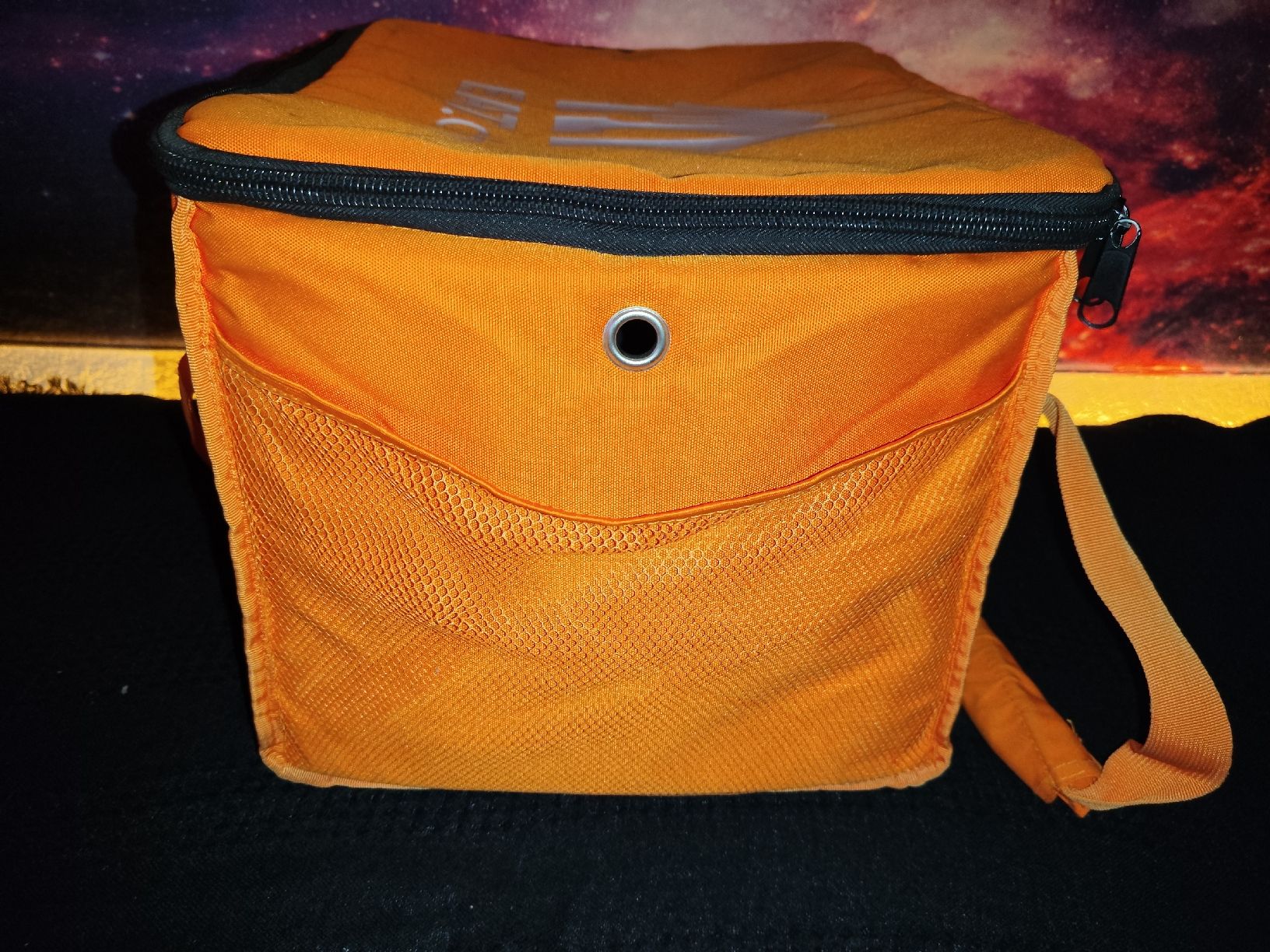 Borse: Original EAT.ch Liefertasche Transporttasche Kühltasche – Usato da Rothrist venduto da SiddharthaMoon 6
