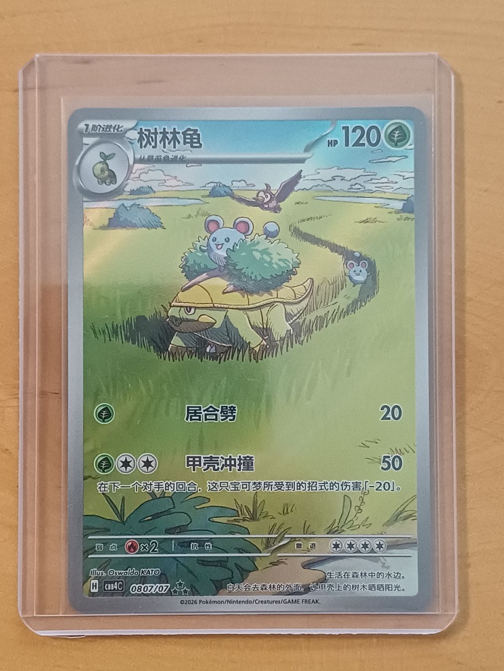 Pokémon Carte collezionabili: Pokémon Karte - Chelcarain – Nuovo (secondo la descrizione) da Effretikon venduto da Zitinjac