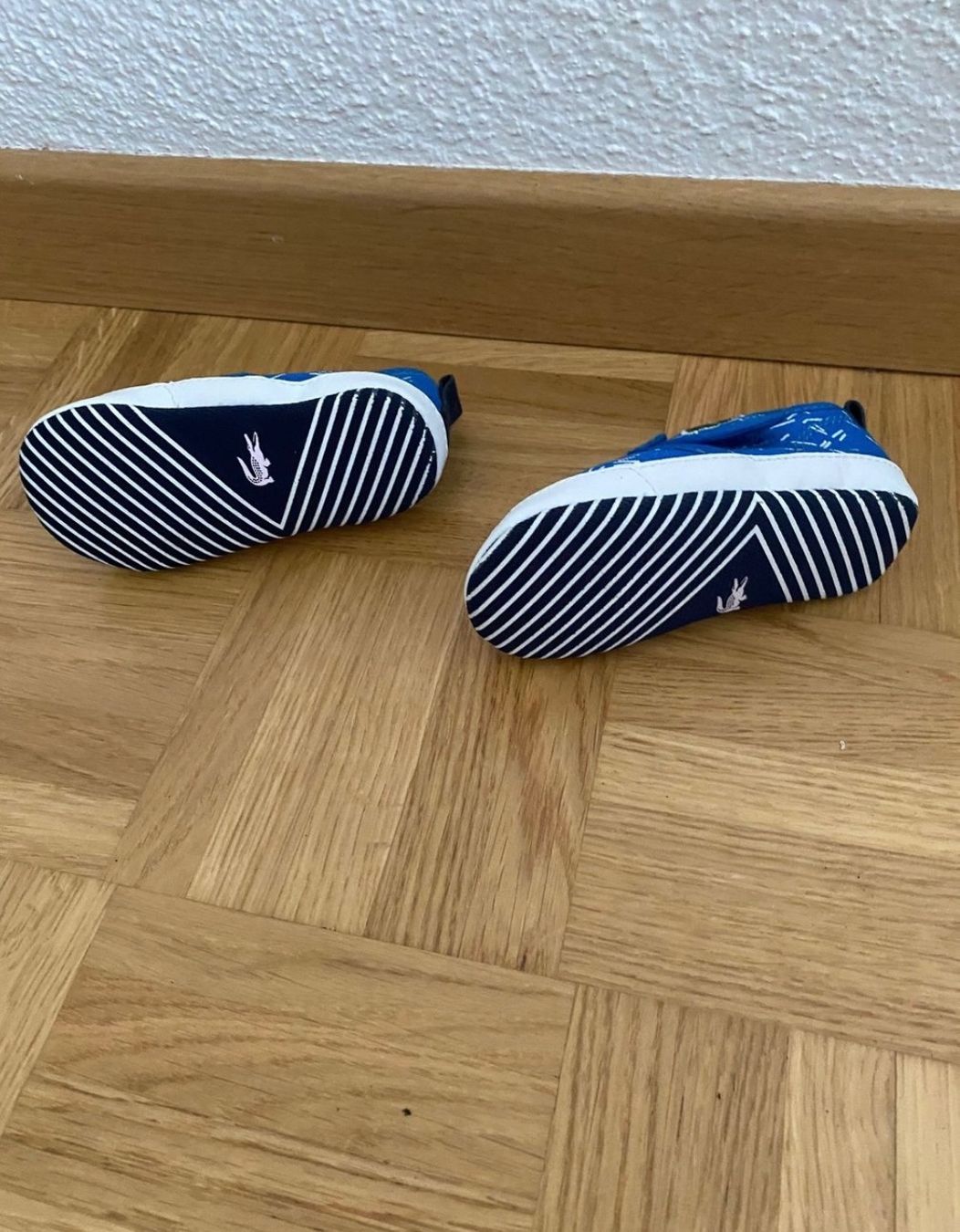 Lacoste Scarpe per ragazzi: Kinder Schuhe Lacoste Grösse 19 – Usato da Zürich venduto da zd_1965 3