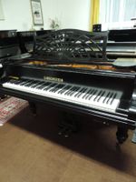 C. Bechstein C-220, revidiert
