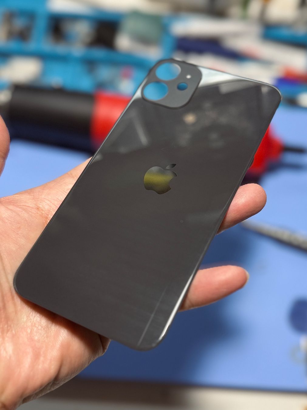 Apple Telefoni cellulari / Smartphones: VITRE ARRIÈRE IPHONE 11 Noir (AVEC LOGO) – Nuovo e nell'imballaggio originale da Morges venduto da DA-repa 1