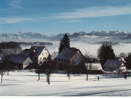 Hirzel 2011
