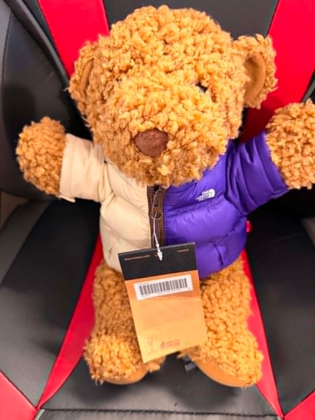 Supreme T-shirts: Supreme The North Face Bear – D'occasion à Giubiasco par Ticinerd