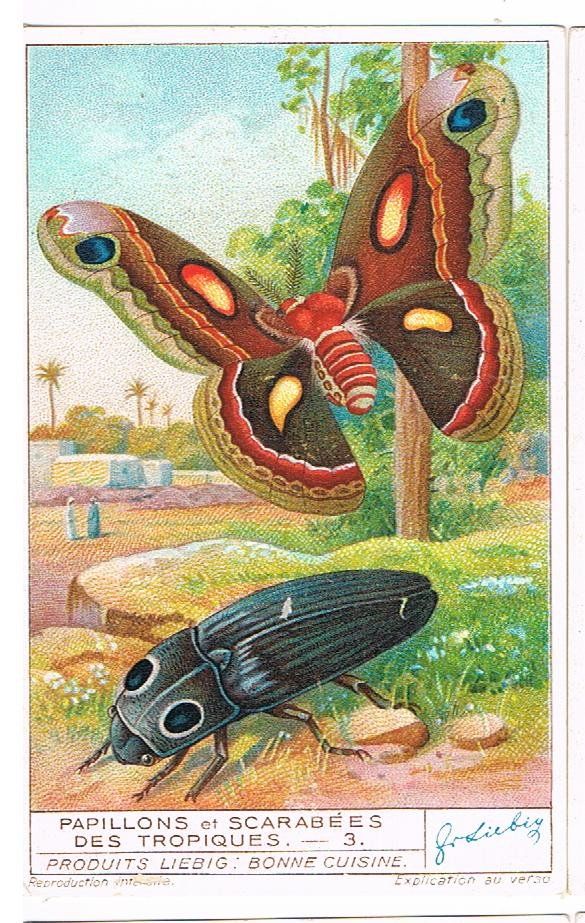 Grafica & Litografie: Cartes publicitaires - Chromo – Usato da Genève venduto da edelweiss1900 1