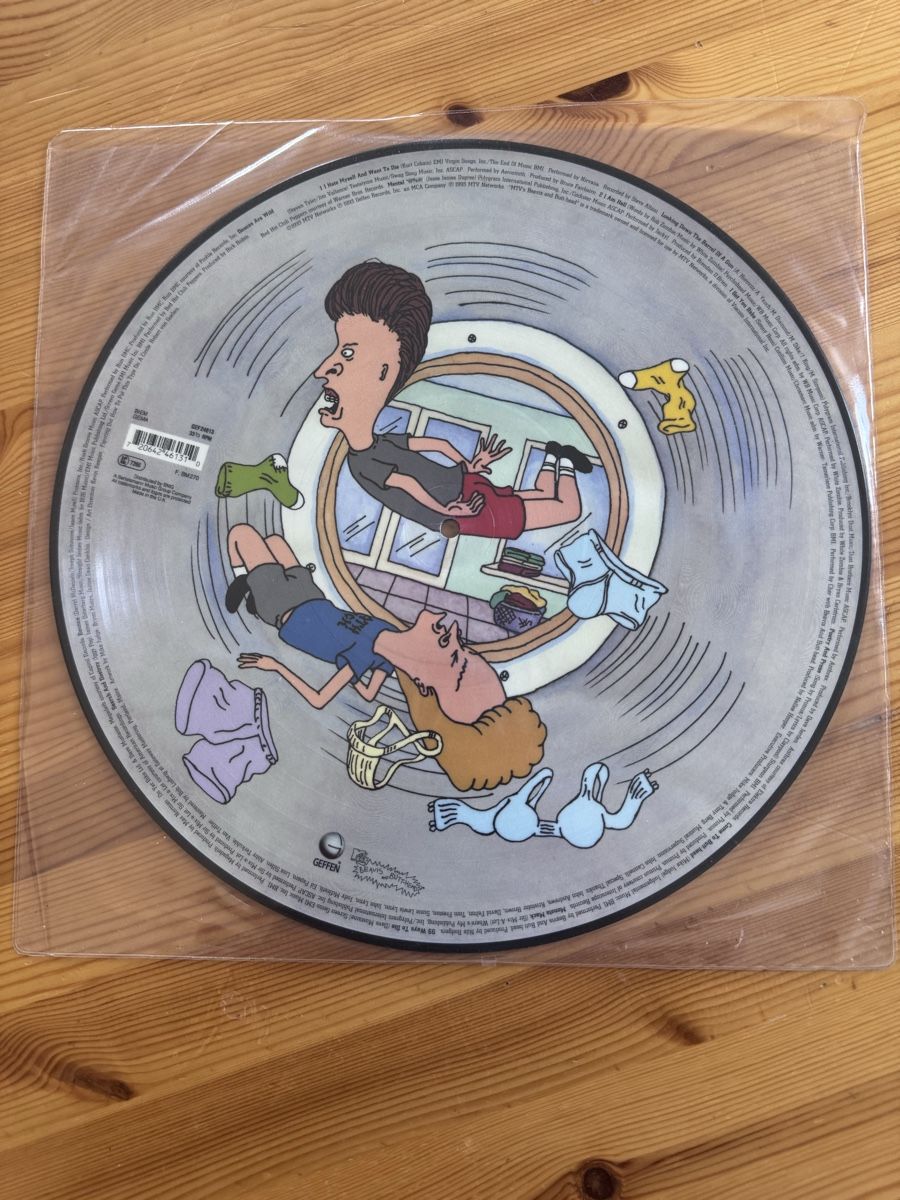 Dischi in vinile: Disque vinyle picture disc Beavis and Butt-Head Geffen – Usato da Vésenaz venduto da Angela.C3 1