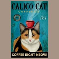 🔥 CAT COFFEE Katzen Blechschild 🩵 20x30cm OVP 🔥