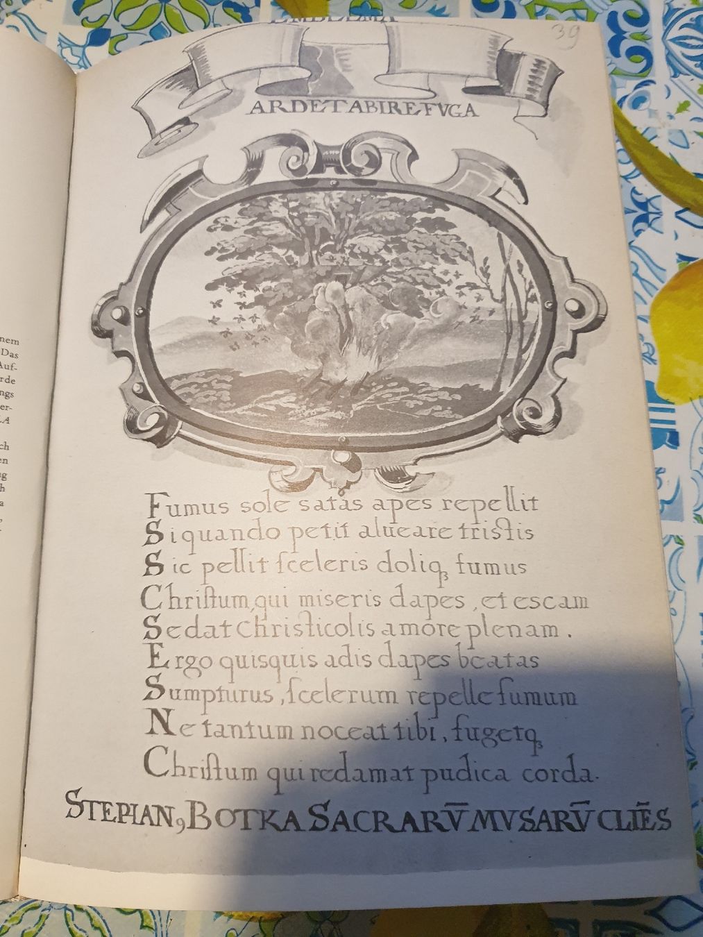 Bücher: FRÜHE EMBLEME AUS DER STIEMARK – Gebraucht aus Viganello von Priska.c 5