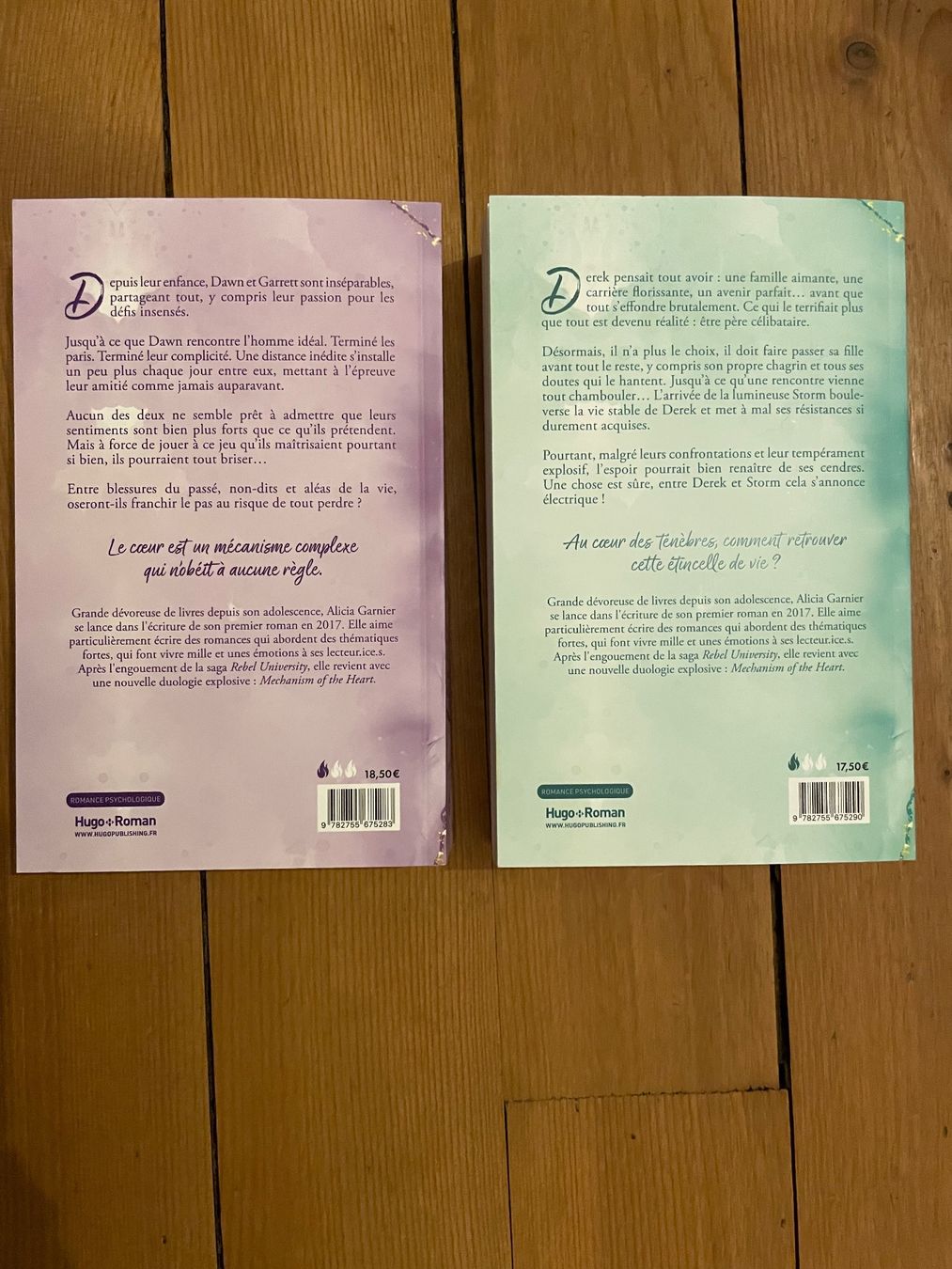 Libri: The dare & the void, Alicia Garnier – Usato da Yverdon-les-Bains venduto da mey_8zh2 1